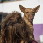 K640_PHOTO-2025-04-26-10-20-57