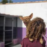 K640_PHOTO-2025-04-26-10-20-57(1)