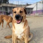 K640_PHOTO-2025-10-14-21-23-23