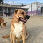 K640_PHOTO-2025-10-14-21-23-24