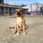 K640_PHOTO-2025-10-14-21-23-24(1)