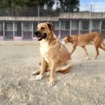 K640_PHOTO-2025-10-14-21-23-24(2)