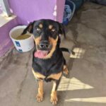 K640_PHOTO-2025-10-14-21-24-23