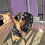 K640_PHOTO-2025-10-14-21-24-23(1)