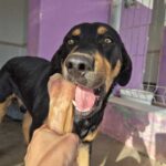 K640_PHOTO-2025-10-14-21-24-23(10)