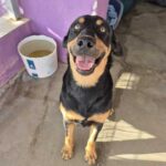 K640_PHOTO-2025-10-14-21-24-24(11)