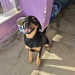 K640_PHOTO-2025-10-14-21-24-24(2)