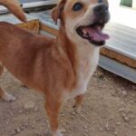 K640_PHOTO-2025-10-14-21-27-48