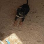 K640_PHOTO-2025-10-14-21-49-20