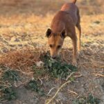 K640_PHOTO-2025-10-14-22-47-04