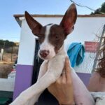 K640_PHOTO-2025-10-15-21-58-13