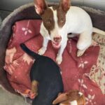 K640_PHOTO-2025-10-24-23-06-01