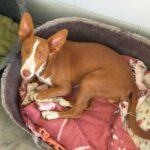 K640_PHOTO-2025-10-24-23-06-36