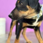 K640_PHOTO-2025-11-25-08-42-52