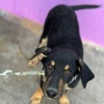 K640_PHOTO-2025-11-25-08-43-58