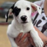 K640_PHOTO-2025-11-25-09-24-07