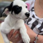 K640_PHOTO-2025-11-25-09-24-07(1)