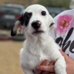 K640_PHOTO-2025-11-25-09-24-08