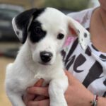 K640_PHOTO-2025-11-25-09-24-08(1)