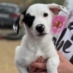 K640_PHOTO-2025-11-25-09-24-08(2)