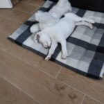 K640_PHOTO-2025-11-25-09-24-08(3)