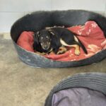 K640_PHOTO-2025-11-25-09-56-17