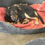 K640_PHOTO-2025-11-25-09-56-51