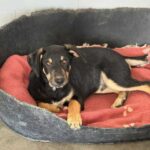 K640_PHOTO-2025-11-25-09-57-07