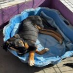 K640_PHOTO-2025-11-25-10-10-04