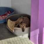 K640_PHOTO-2025-11-25-10-47-09