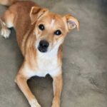 K640_PHOTO-2025-11-25-11-25-29