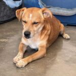 K640_PHOTO-2025-11-25-11-25-39