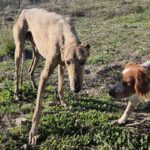 K640_PHOTO-2025-11-28-18-16-06