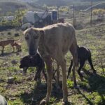 K640_PHOTO-2025-11-28-18-16-15