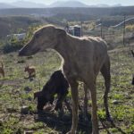 K640_PHOTO-2025-11-28-18-16-29