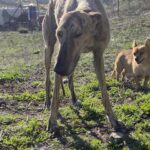 K640_PHOTO-2025-11-28-18-21-43