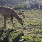 K640_PHOTO-2025-11-28-18-21-59