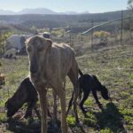 K640_PHOTO-2025-11-28-18-22-09