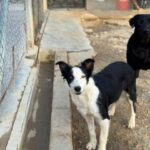 K640_PHOTO-2025-11-29-17-52-01