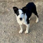 K640_PHOTO-2025-11-29-17-52-02