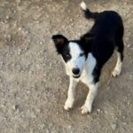 K640_PHOTO-2025-11-29-17-52-03