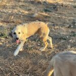 PHOTO-2025-10-14-22-07-40