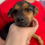 K640_Bildschirmfoto 2025-12-03 um 20.38.55.jpeg