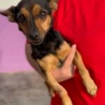 K640_Bildschirmfoto 2025-12-03 um 20.39.57.jpeg