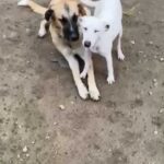 K640_Bildschirmfoto 2025-12-17 um 18.52.20