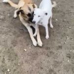 K640_Bildschirmfoto 2025-12-17 um 18.53.23