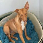 K640_PHOTO-2025-10-24-22-36-54