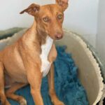 K640_PHOTO-2025-10-24-22-36-54(2)