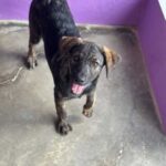 K640_PHOTO-2025-11-03-14-28-20