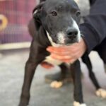 K640_PHOTO-2025-11-25-08-11-45(1)